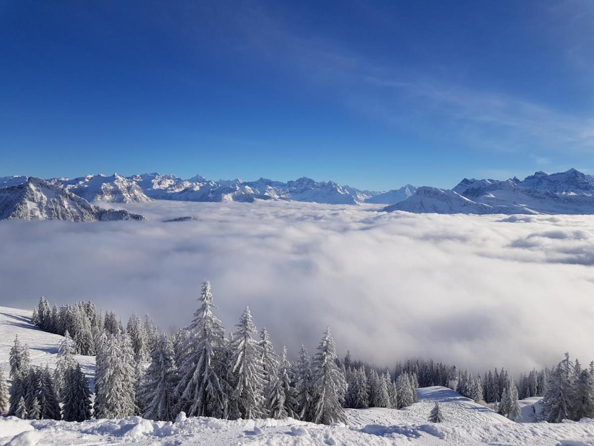 Gasthaus Schaefli Gersau Buitenkant foto