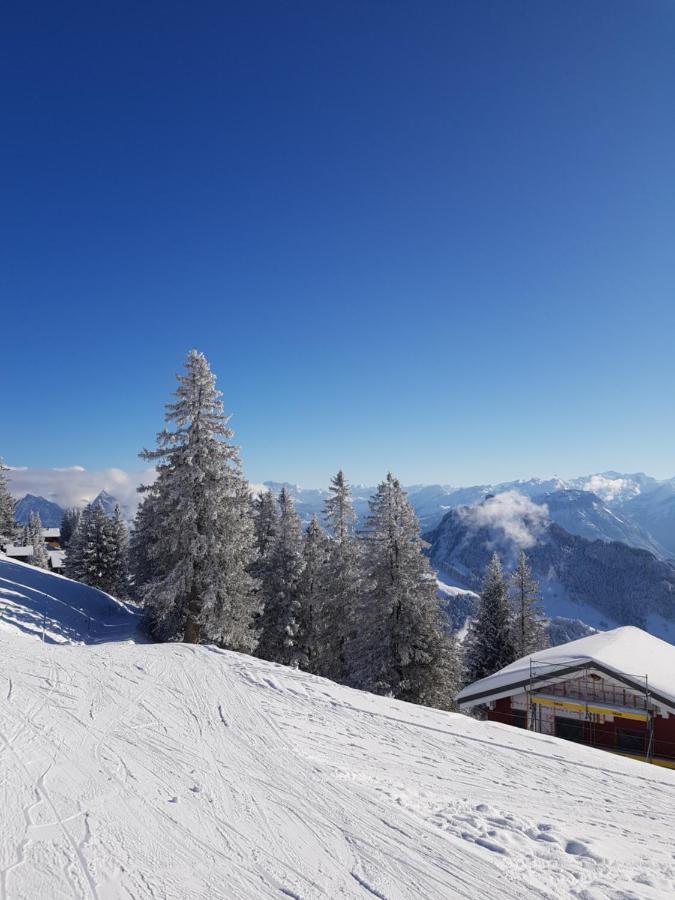 Gasthaus Schaefli Gersau Buitenkant foto