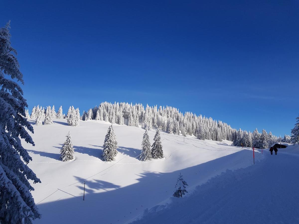 Gasthaus Schaefli Gersau Buitenkant foto